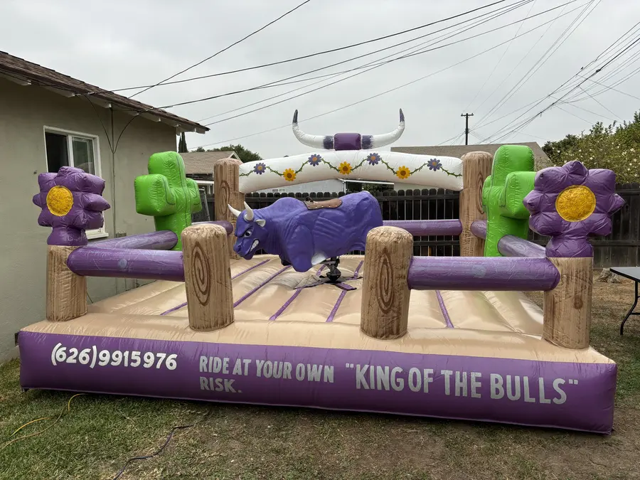 Party Mechanical Bull Rental